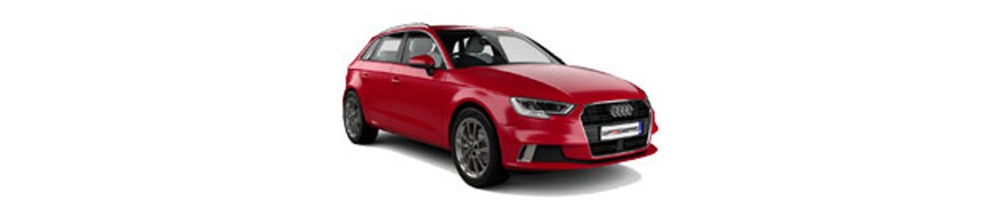 A3