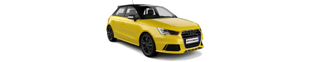 S1