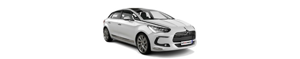 DS5