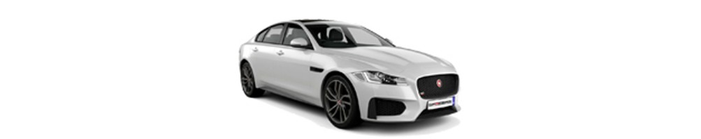 XF