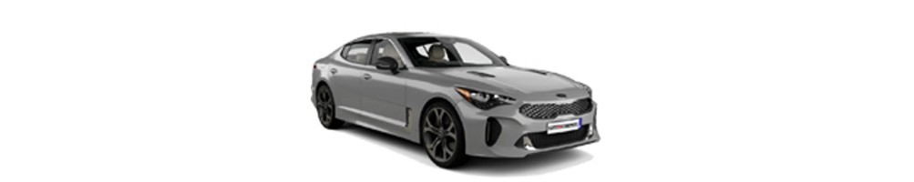 STINGER