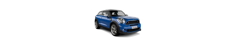 PACEMAN