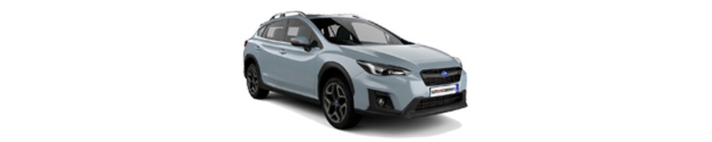 XV