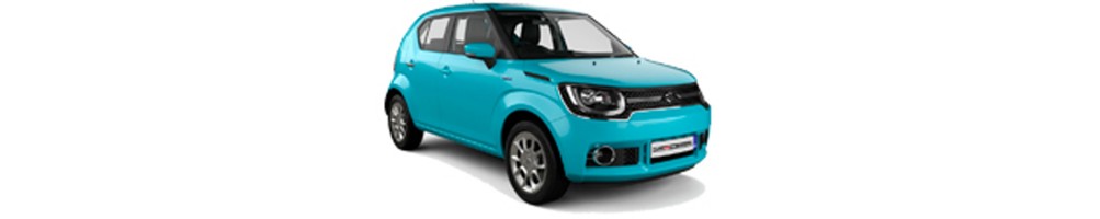 IGNIS
