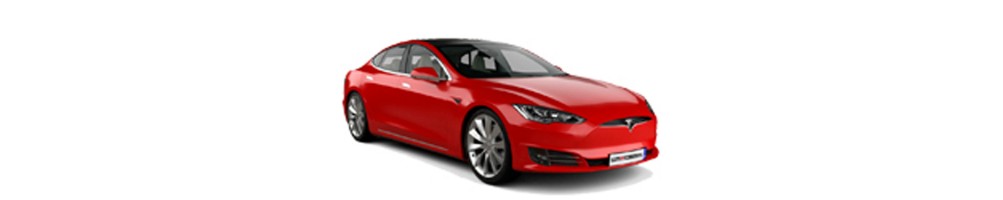 MODEL S