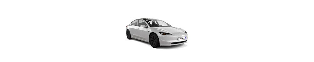MODEL 3